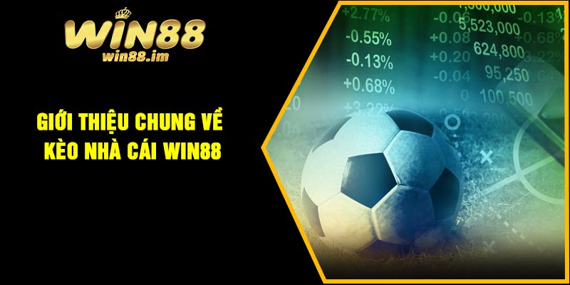 Giới thiệu chung về kèo nhà cái Win88