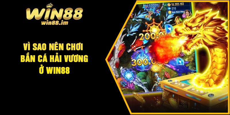Vì sao nên chơi bắn cá hải vương ở Win88
